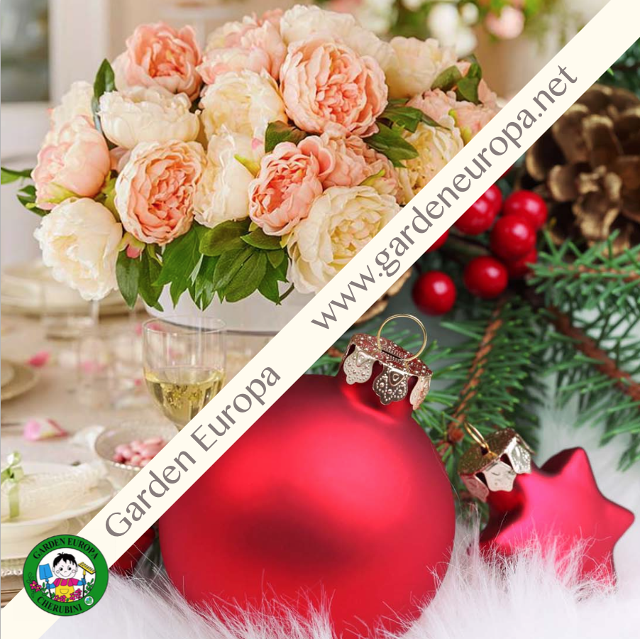 Schermata 2016-07-22 alle 14.15.09